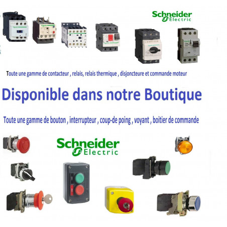 Sonnerie modulaire   Schneider R9PCBB 80dB 8/12V