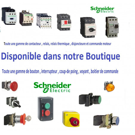 Coffret électrique 36 Modules  - 2 Rangées de 18 mpodules Schneider R9H18402 