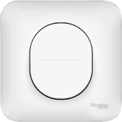 Interrupteur Va et vient  10A avec plaque Schneider Ovalis blanc S260204