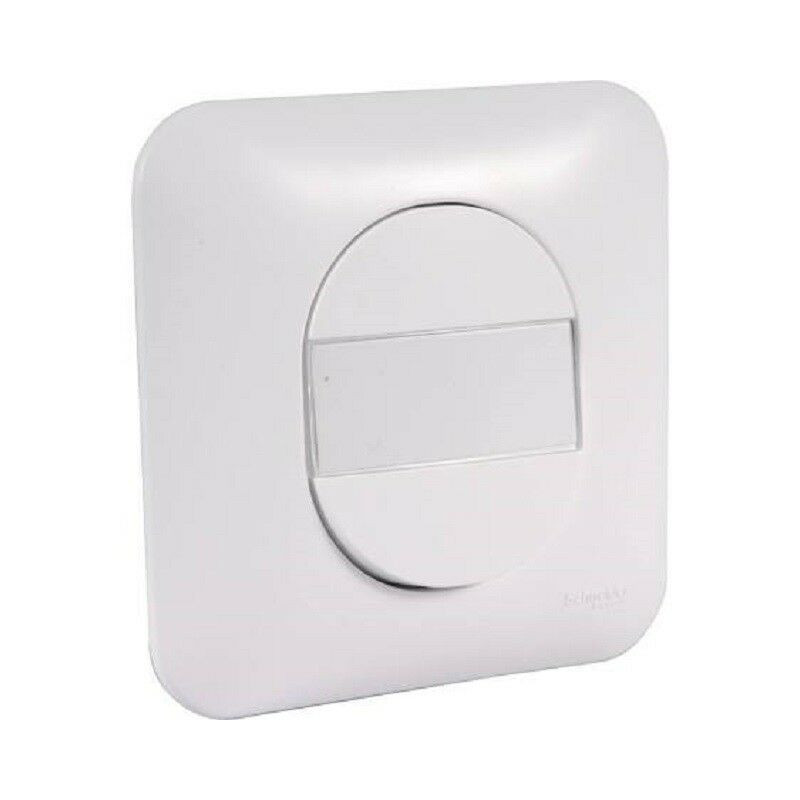 Bouton poussoir 10A Porte étiquette  avec plaque Schneider Ovalis blanc S260266