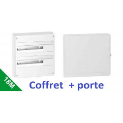 Coffret électrique 36 Modules 2 Rangées Schneider avec porte R9H18402 + R9H18422