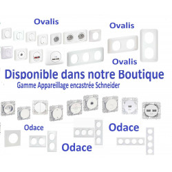Bouton poussoir 10A à fermeture avec plaque Schneider Ovalis blanc S260206