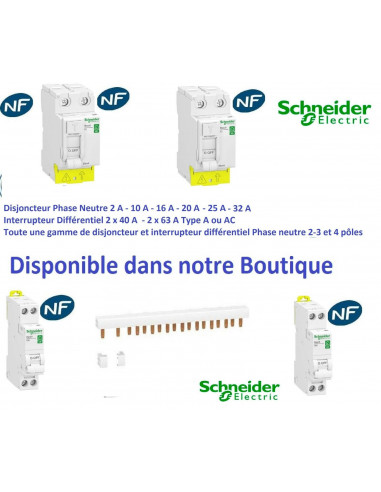 Combiné Disjoncteur + contacteur CE embrochable XE 1P+N 20A - Schneider  R9ECT620