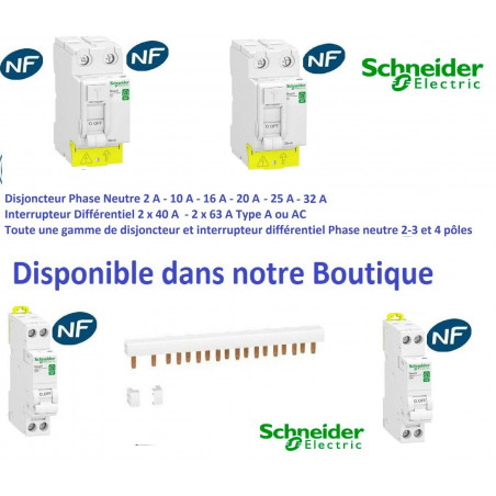 Disjoncteur 1p + n 10A - courbe C - peignable Schneider  R9PFC610