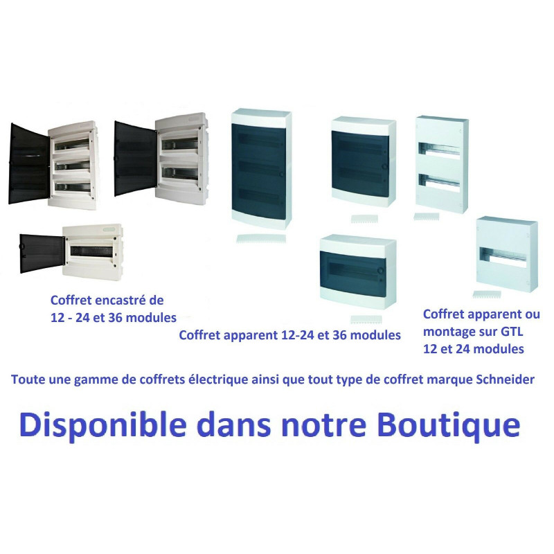 Resi9 - disjoncteur modulaire - 1P+N - 10A - courbe C