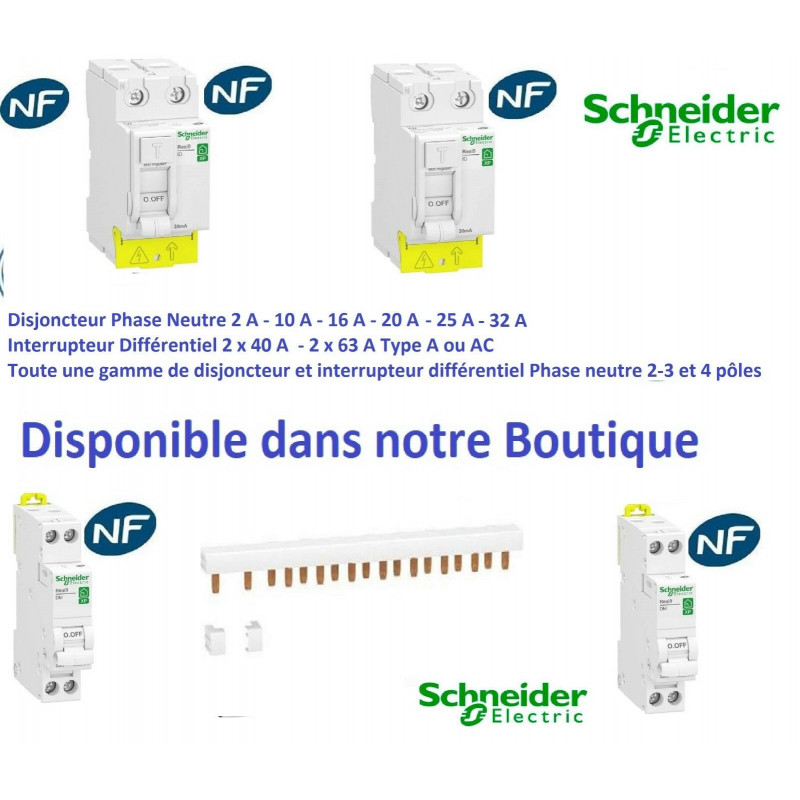 Disjoncteur Schneider 4 Pôles 20A Courbe C - Vigi 300mA Type AC - Matériel D'occasion