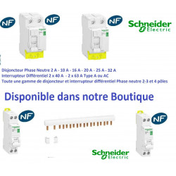 Parafoudre Schneider Resi9 + accessoires R9PLC SCHNEIDER