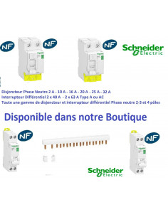 Peigne vertical pour interrupteur différentiel  xe 2P 25 à 63A - Schneider R9EXV 2