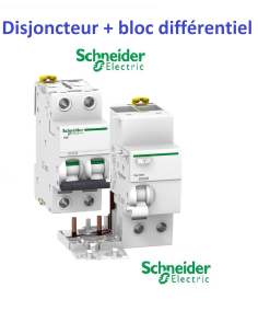 Disjoncteur iC60N 25A -...