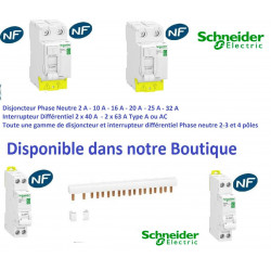 Prise de courant 2P+T 16A 250V modulaire resi9 Schneider R9PCS616 2